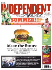 The Independent on Sunday () Newspaper Front Page for 28 July 2013