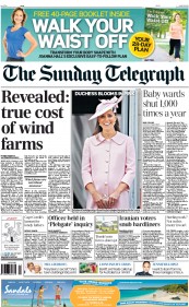 The Sunday Telegraph () Newspaper Front Page for 16 June 2013